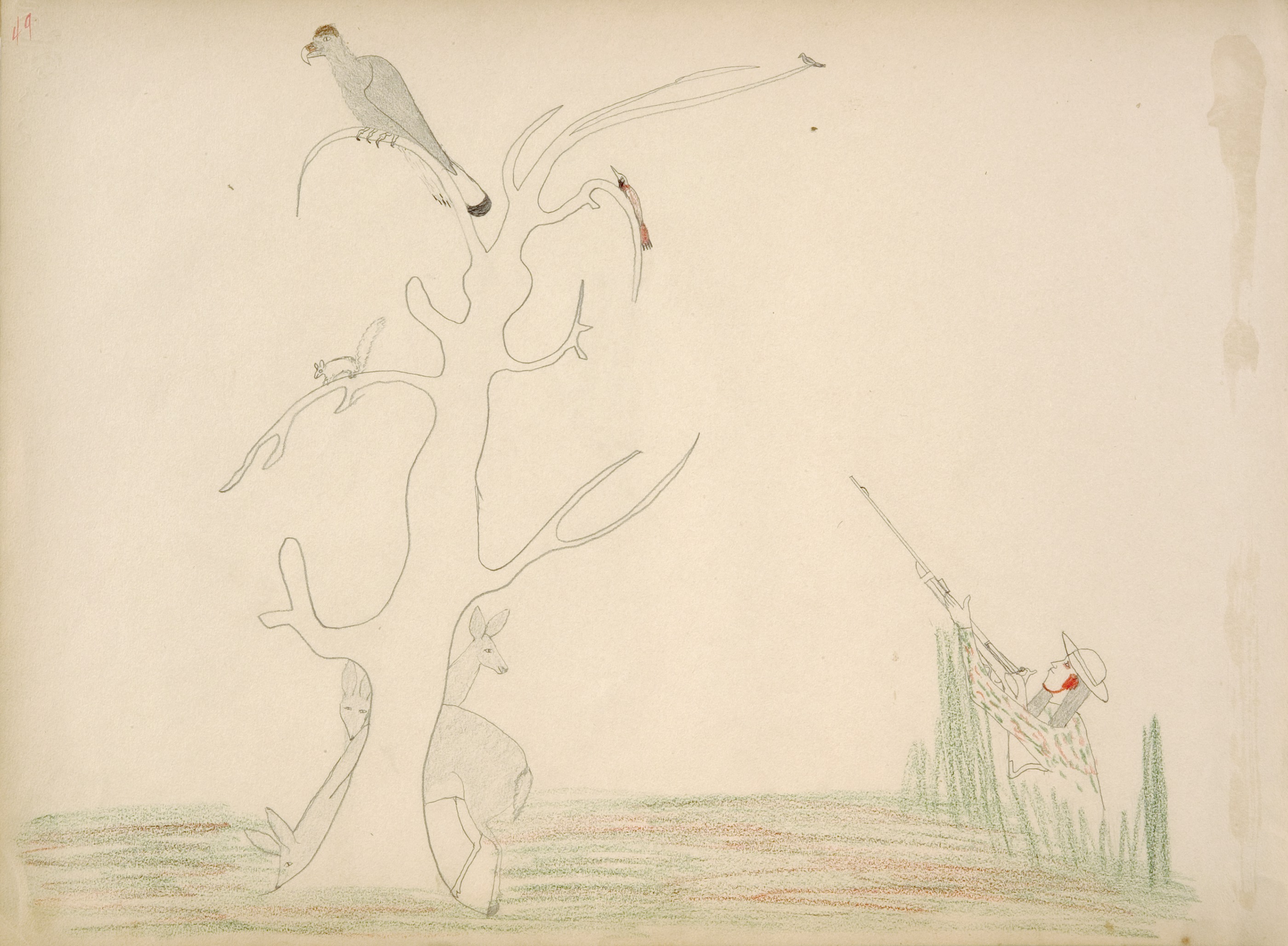 Tah-bah (Kiowa) Kills Eagle Perched on Tree Top but Fails to See Three Deer Grazing Near Trunk of Tree until after He Shoots When the Deer Escape